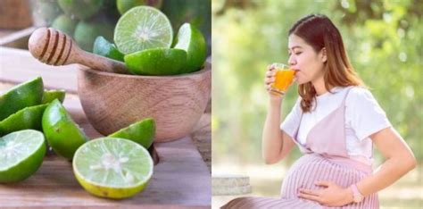 apakah ibu hamil boleh minum jeruk nipis