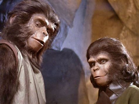 ape shall never kill ape
