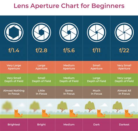 Aperture Beginners Guide