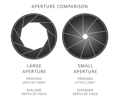Aperture Synonym