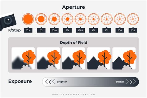 Read Aperture Science Guide 