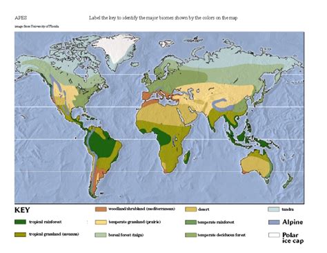 apes biomes test