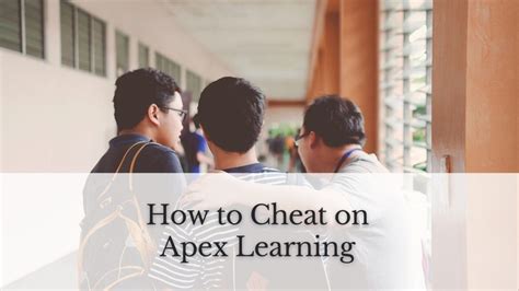 Apex Learning Cheat