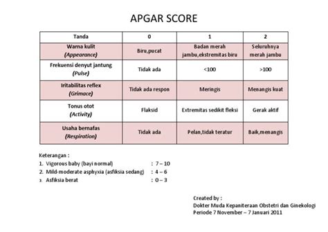 apgar score bayi