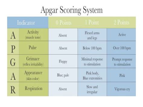 Apgar Score Ppt