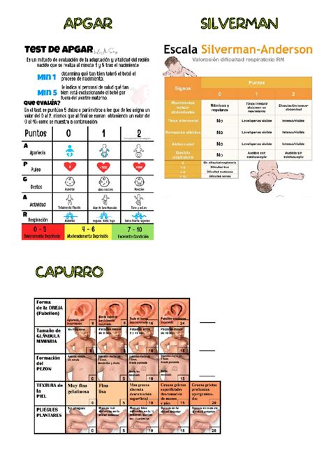 Apgar Y Silverman