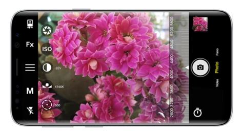 aplikasi bokeh playstore | Aplikasi Bokeh di Playstore Terbaru 2024 Cepat