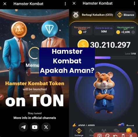 aplikasi hamster | cch game bi i thng khng b