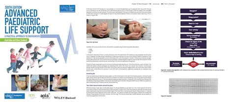 Apls 6th Edition