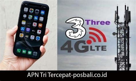 apn tri | Apn Tri Terbaru 2024 Solusi Terbaik untuk