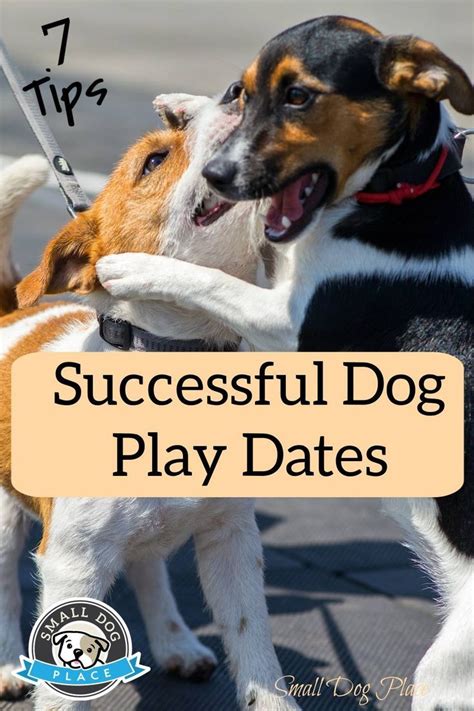 app for dog play dates