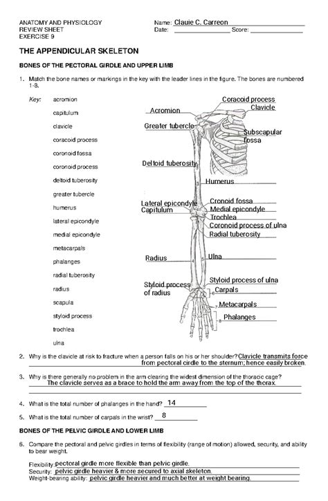 appendicular skeleton exercise 9 answers