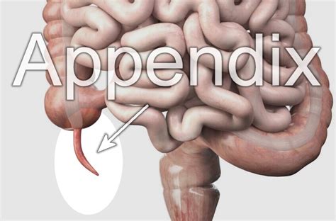 Appendix Phas Ubc