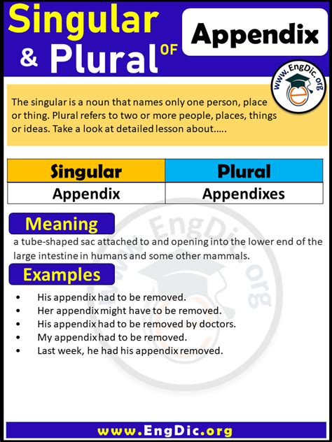 Appendix Plural