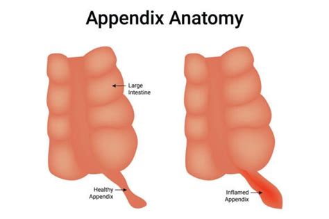Appendix World Scientific