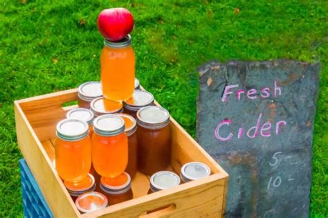 Apple Cider Uv Treated