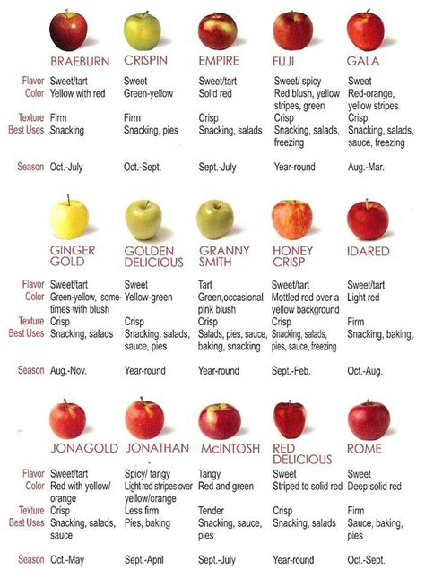 Apple Guide