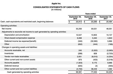 Apple Inc Cash Flow Statement