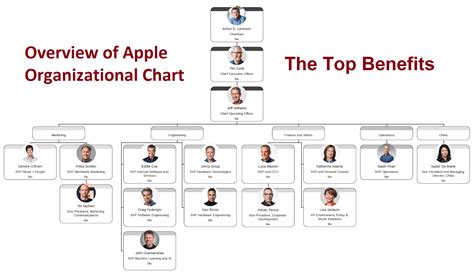 Apple Inc Organizational Structure
