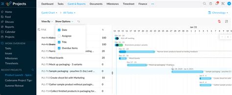 Apple Project Manager Software