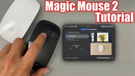 Full Download Apple Magic Mouse User Guide 