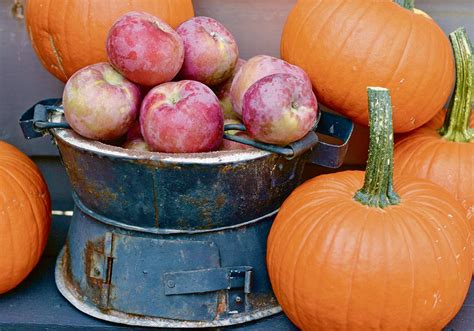 Apples And Pumpkins