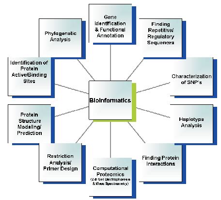 Application Of Bioinformatics
