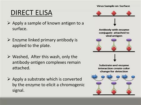Application Of Elisa