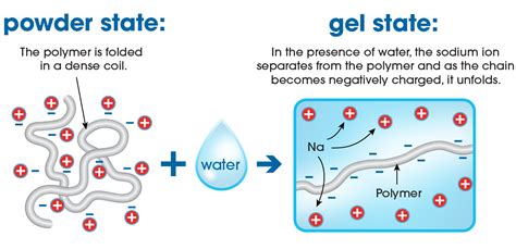 Application Of Super Absorbent Polymer In Flood Management