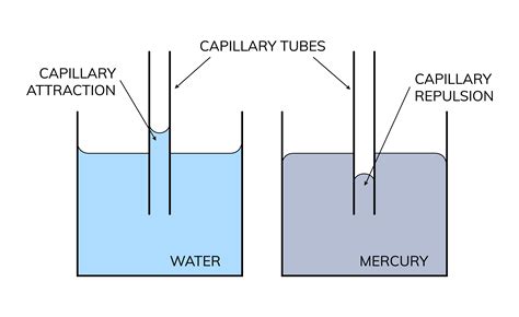 Application Of Surface Tension