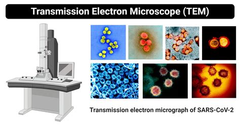 Application Of Transmission Electron Microscope