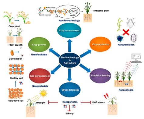 Read Online Applications Of Nanomaterials In Agricultural Production And Crop Protection A Review Scienceworldlibcom 