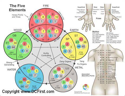 applied kinesiology chart