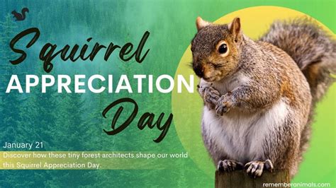 Appreciation Of Animals
