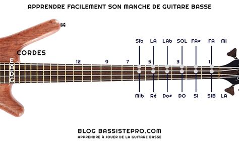apprendre la guitare basse pdf