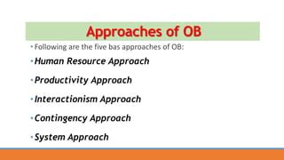 Approaches To Ob