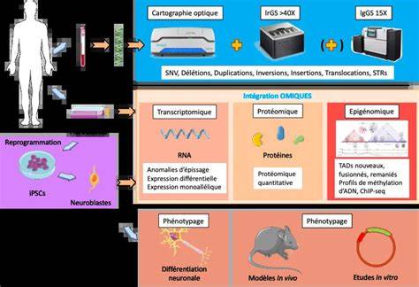 approches moleculaires de l evolution