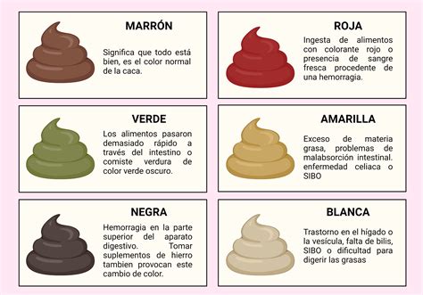 Após Defecar Coça E Arde