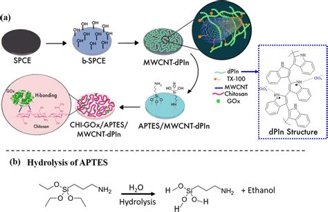 Aptes Modified Chitosan