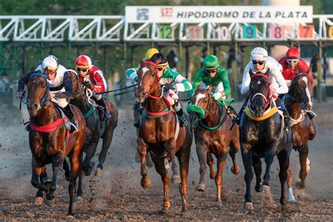 apuestas hipodromo!