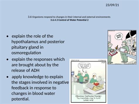 aqa a2 biology unit 6 isa 2014