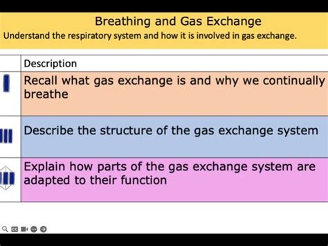 aqa gcse b2 13 may 2014
