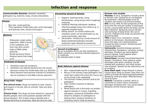 Aqa Infection And Response Lesson 3 Human Defense Immune System Worksheet Middle School - Immune System Worksheet Middle School