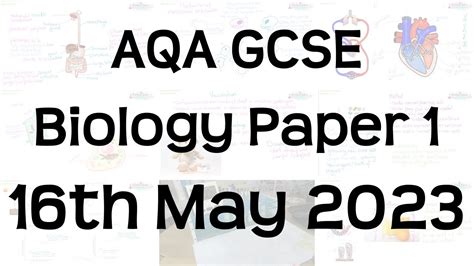 Full Download Aqa Biology 1 Paper 2014 Leaked Akbulutspor 