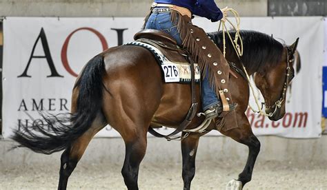 brdice: Aposte nas Melhores Apostas Desportivas Online e Fique Tranquilo com a Proteção de Fundos - Foto 2