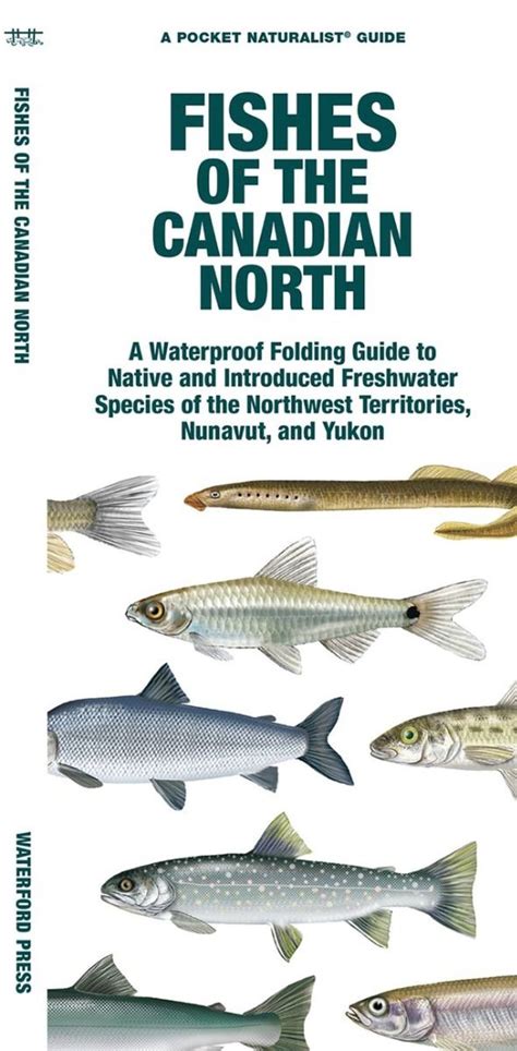 aqua fish canada