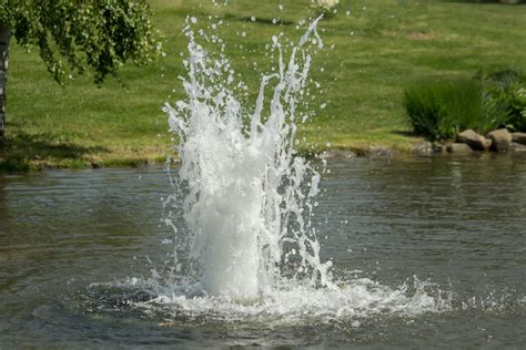 aquarium bubbler for pond? Garden Pond Forums