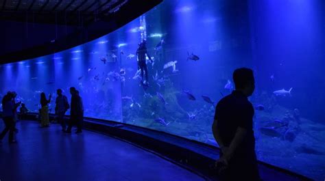 aquarium pangandaran