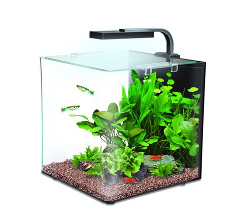 aquarium water container