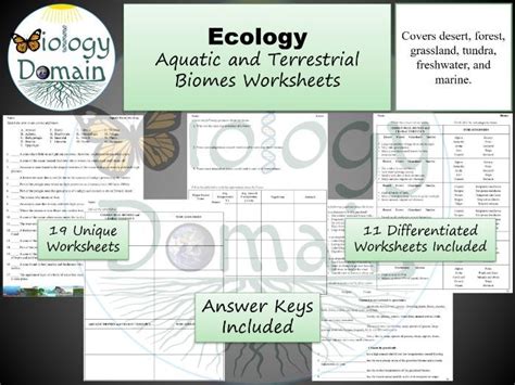 Aquatic And Terrestrial Biome Worksheets Teaching Resources Aquatic Ecosystems Worksheet Answer Key - Aquatic Ecosystems Worksheet Answer Key